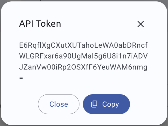 Show API token
